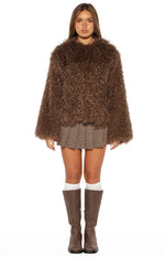 Margot Brown Shaggy Fur Jacket Image