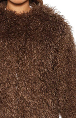 Margot Brown Shaggy Fur Jacket Image