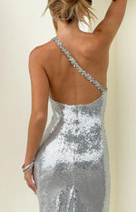 Riella Silver Sequin Maxi Dress Image