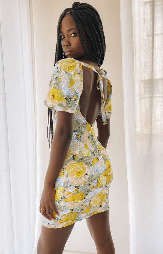 https://files.beginningboutique.com.au/03+Wed/20210203+-+Tyra+Mini+Dress+Floral.mp4